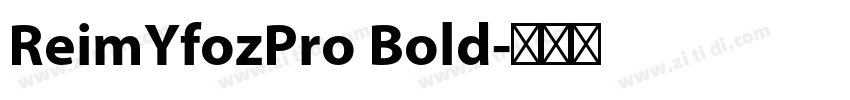 ReimYfozPro Bold字体转换